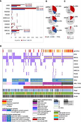 Tumor Genotyping and Homologous Recombination Repair Gene Variants in Patients With Epithelial Ovarian Cancer: Is Pathogenic Enough?